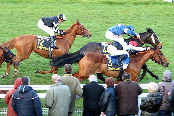 Arrivée quinté pmu PRIX DE L'EPERVIER à COMPIEGNE