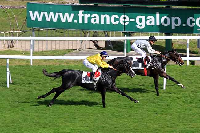 Arrivée quinté pmu PRIX LA VARENDE à SAINT CLOUD