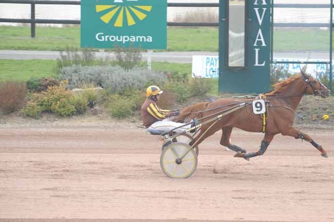 Arrivée quinté pmu PRIX DE LA FEDERATION ANJOU-MAINE CENTRE-OUEST à LAVAL