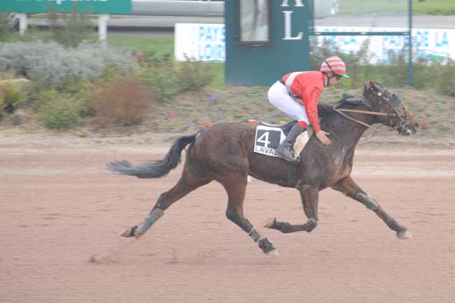 Arrivée quinté pmu PRIX WWW.HIPPODROME-LAVAL.FR à LAVAL
