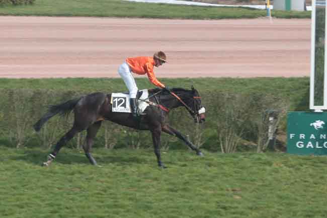 Arrivée quinté pmu PRIX D'ESSAI DES POULICHES (PELOTON A) à ENGHIEN