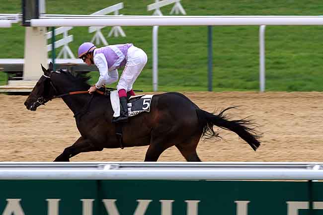 Arrivée quinté pmu PRIX DES FALAISES à DEAUVILLE