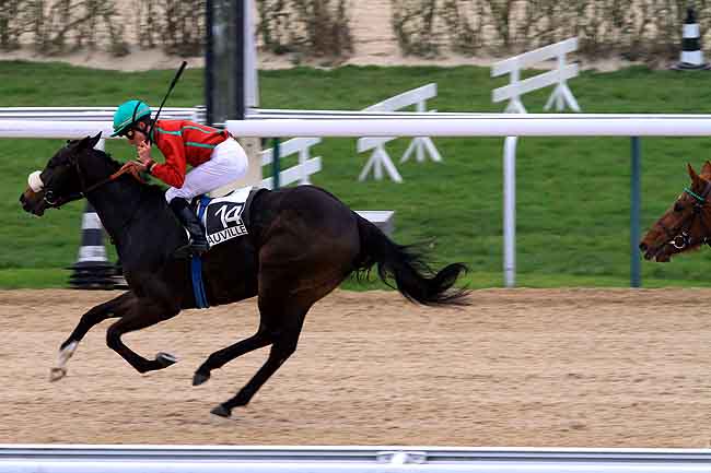 Arrivée quinté pmu PRIX DES PRAIRIES à DEAUVILLE