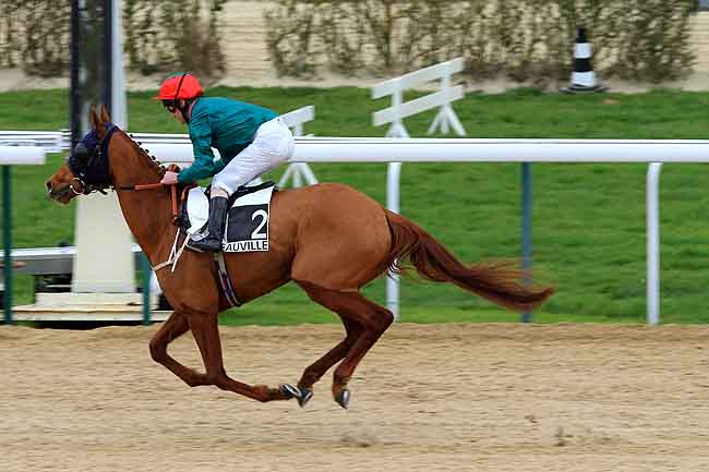 Arrivée quinté pmu PRIX DE COULONCES à DEAUVILLE