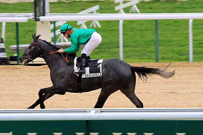 Arrivée quinté pmu PRIX DE COQUEREL à DEAUVILLE