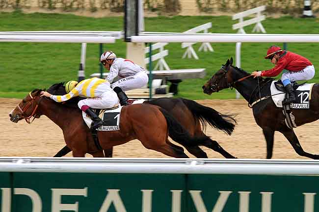 Arrivée quinté pmu PRIX DE LESSARD à DEAUVILLE