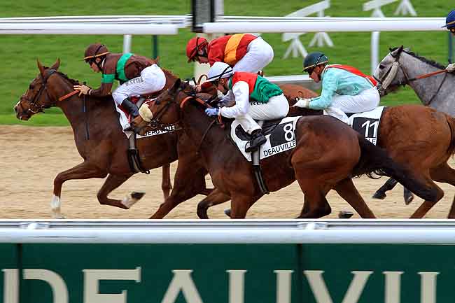 Arrivée quinté pmu PRIX DE LA COUR BLANCHE à DEAUVILLE