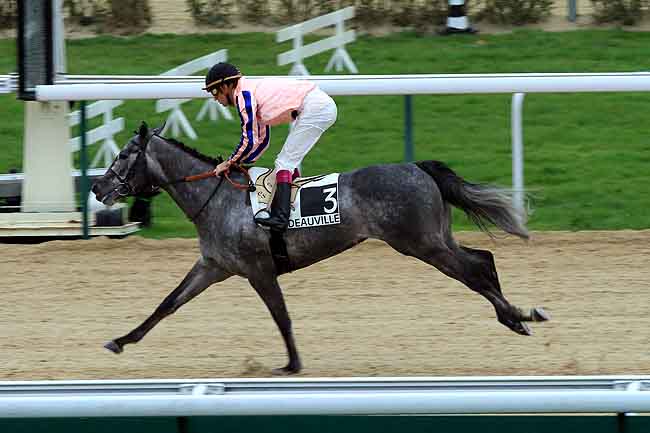 Arrivée quinté pmu PRIX DE LA LONDE à DEAUVILLE
