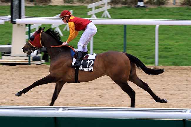 Arrivée quinté pmu PRIX DE LA FORET DU ROUVRAY à DEAUVILLE