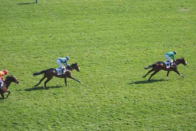 Arrivée quinté pmu PRIX RUSH à AUTEUIL