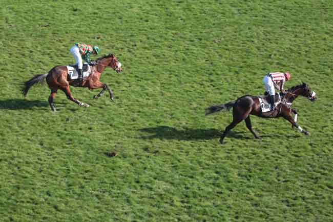 Arrivée quinté pmu PRIX D'INDY à AUTEUIL