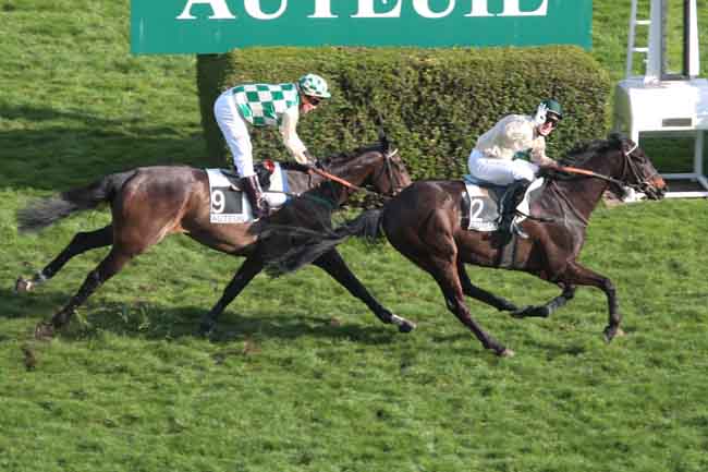 Arrivée quinté pmu PRIX JEAN CLAUDE EVAIN à AUTEUIL