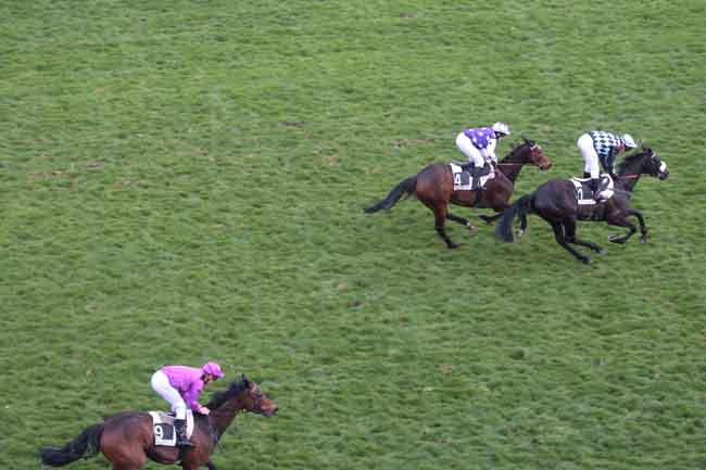 Arrivée quinté pmu PRIX LILIUM à AUTEUIL