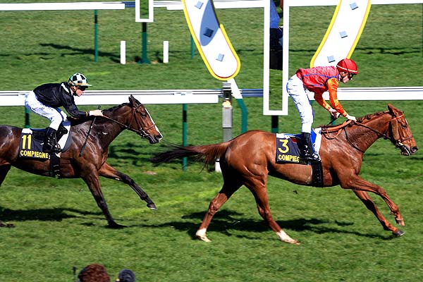 Arrivée quinté pmu PRIX DE SENLIS à COMPIEGNE