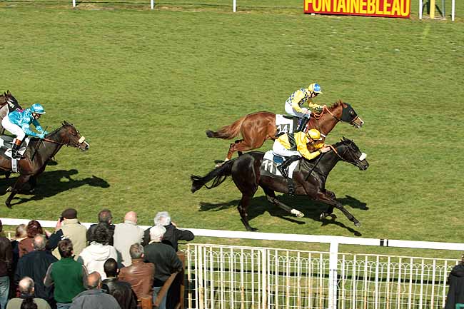 Arrivée quinté pmu PRIX DU CONSEIL MUNICIPAL DE FONTAINEBLEAU à FONTAINEBLEAU