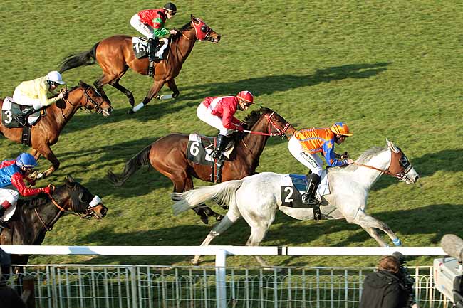 Arrivée quinté pmu PRIX DE LA VILLE IMPERIALE à FONTAINEBLEAU