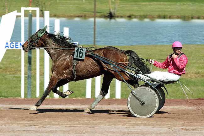 Arrivée quinté pmu PRIX DE LA COMMUNAUTE D'AGGLOMERATION D'AGEN à AGEN LE PASSAGE