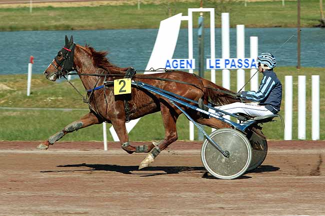 Arrivée quinté pmu PRIX DE LYON à AGEN LE PASSAGE