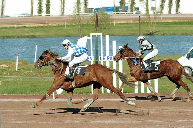 Arrivée quinté pmu PRIX DE LA VILLE 
