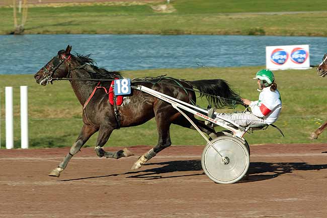 Arrivée quinté pmu PRIX DE BIARRITZ à AGEN LE PASSAGE