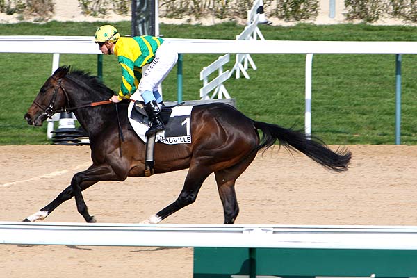 Arrivée quinté pmu PRIX D'HERMANVILLE à DEAUVILLE
