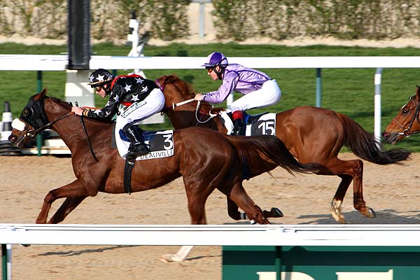 Arrivée quinté pmu PRIX DE LA LEZARDE à DEAUVILLE