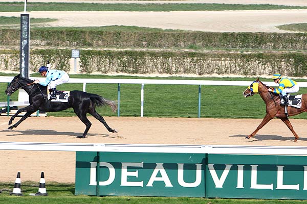 Arrivée quinté pmu PRIX DE LA VIE à DEAUVILLE