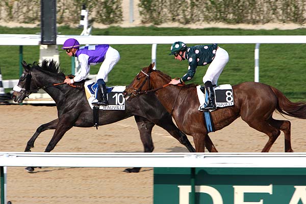 Arrivée quinté pmu PRIX DES FORETS à DEAUVILLE