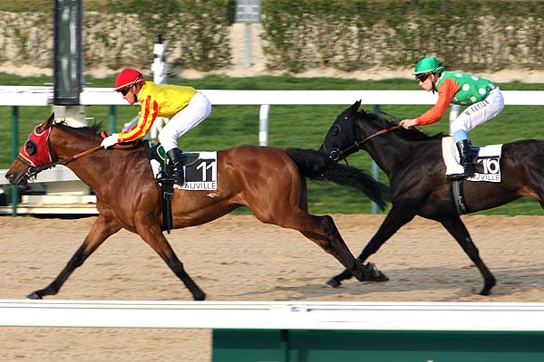 Arrivée quinté pmu PRIX DE MANERBE à DEAUVILLE