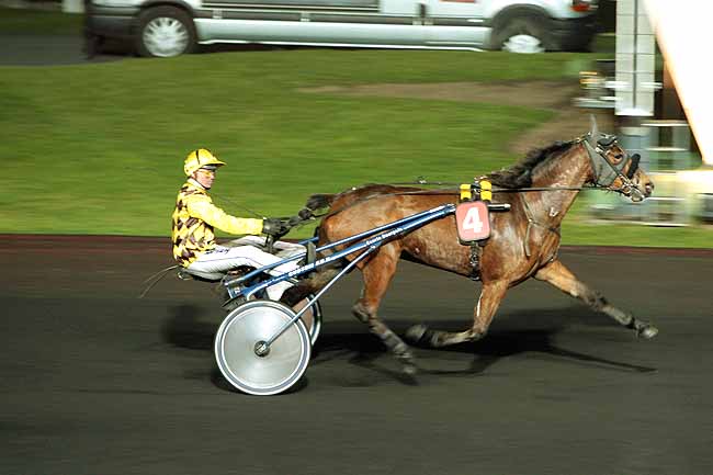 Arrivée quinté pmu PRIX ALCYONE à PARIS-VINCENNES