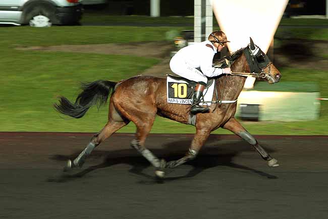 Arrivée quinté pmu PRIX LETO à PARIS-VINCENNES