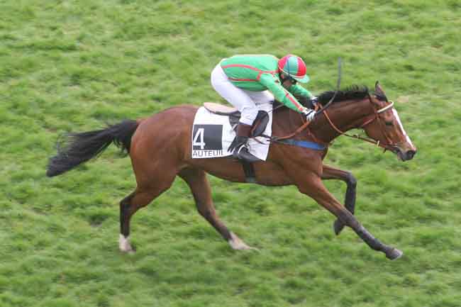 Arrivée quinté pmu PRIX AURICULA à AUTEUIL