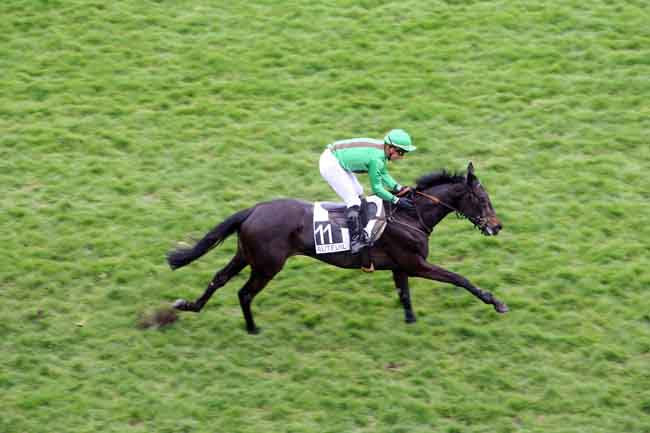 Arrivée quinté pmu PRIX HUBERT D'AILLIERES à AUTEUIL