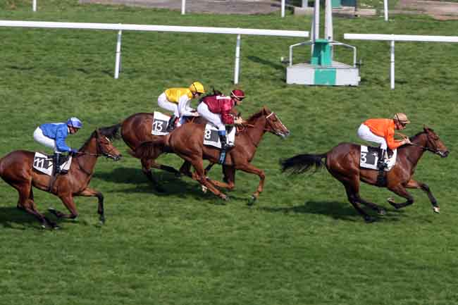 Arrivée quinté pmu PRIX DU DEBUT à SAINT CLOUD