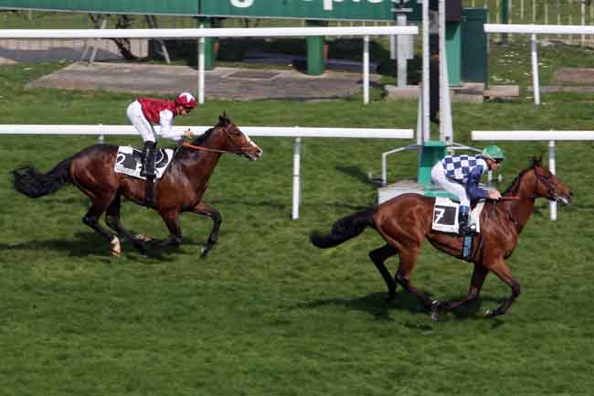 Arrivée quinté pmu PRIX NASRULLAH à SAINT CLOUD