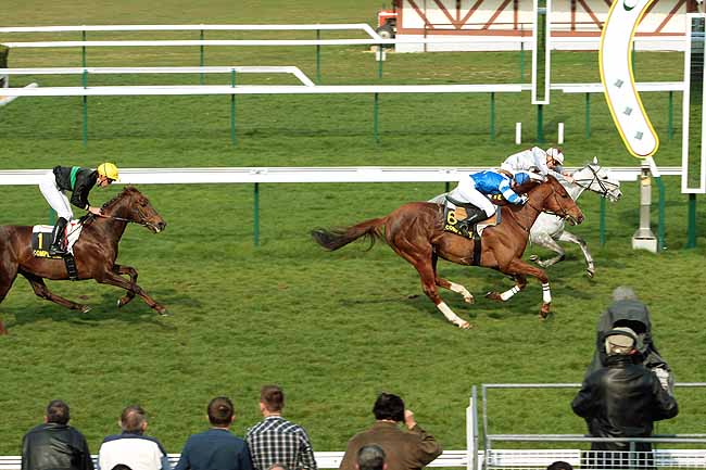Arrivée quinté pmu PRIX DE COURTIEUX à COMPIEGNE