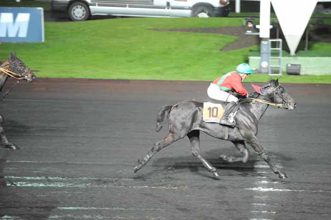 Arrivée quinté pmu PRIX ALGEIBA à PARIS-VINCENNES