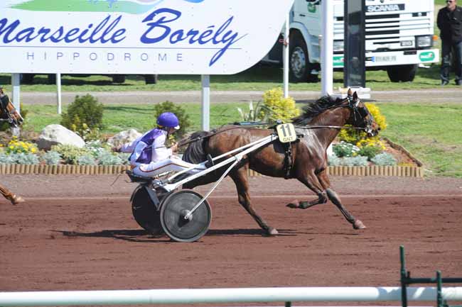 Arrivée quinté pmu PRIX GENY.COM - PARIS-TURF à MARSEILLE BORELY