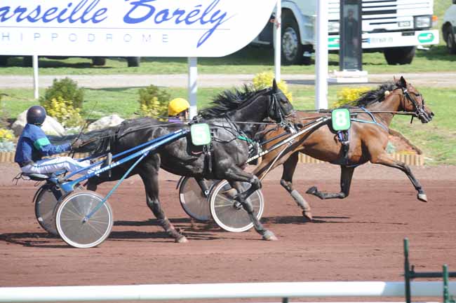 Arrivée quinté pmu PRIX DE CAVAILLON à MARSEILLE BORELY