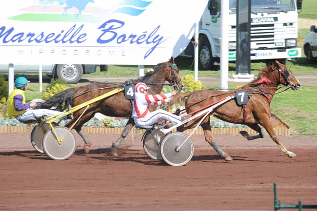 Arrivée quinté pmu PRIX DE CAGNES-SUR-MER à MARSEILLE BORELY