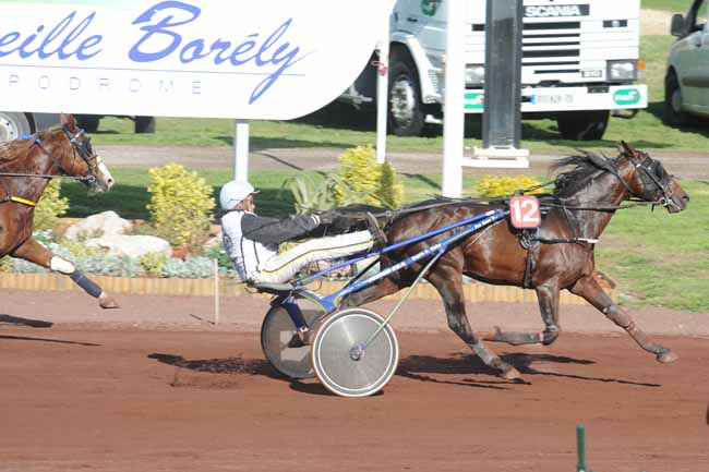 Arrivée quinté pmu PRIX D'AIX-EN-PROVENCE à MARSEILLE BORELY