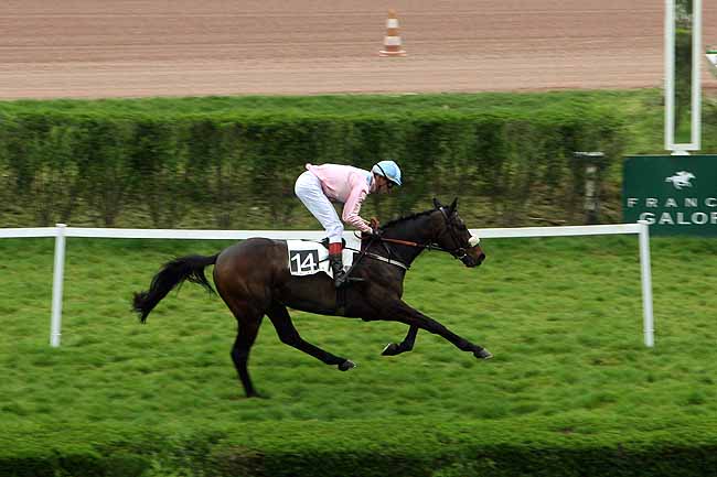 Arrivée quinté pmu PRIX DES BENJAMINS à ENGHIEN