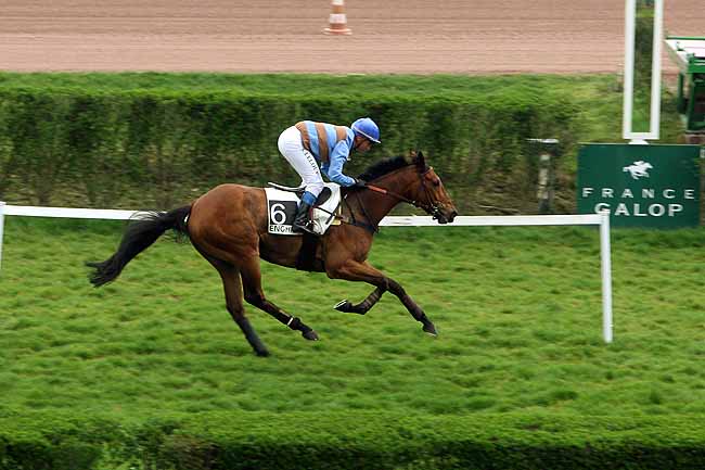 Arrivée quinté pmu PRIX DE PRECHAC à ENGHIEN