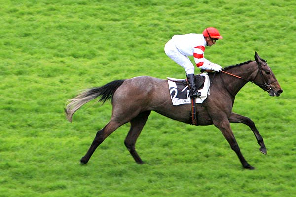 Arrivée quinté pmu PRIX NOBILIARY à SAINT CLOUD