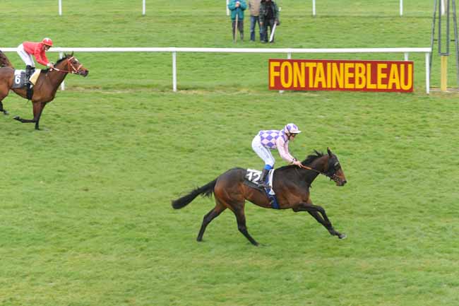 Arrivée quinté pmu PRIX DES ORMES à FONTAINEBLEAU
