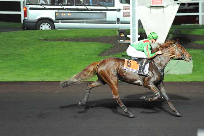 Arrivée quinté pmu PRIX ALCOR à PARIS-VINCENNES