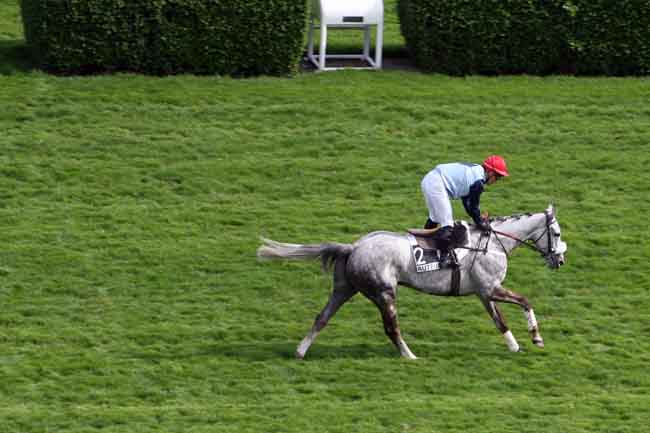 Arrivée quinté pmu PRIX AIR LANDAIS à AUTEUIL