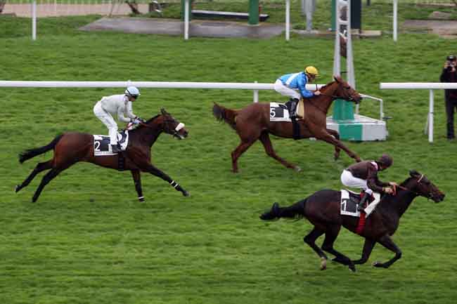 Arrivée quinté pmu PRIX LAVANDIN à SAINT CLOUD