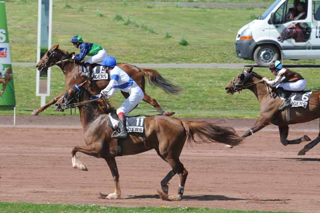Arrivée quinté pmu PRIX OCEANE-LB MENUISERIES (PRIX AUBIER) à ANGERS
