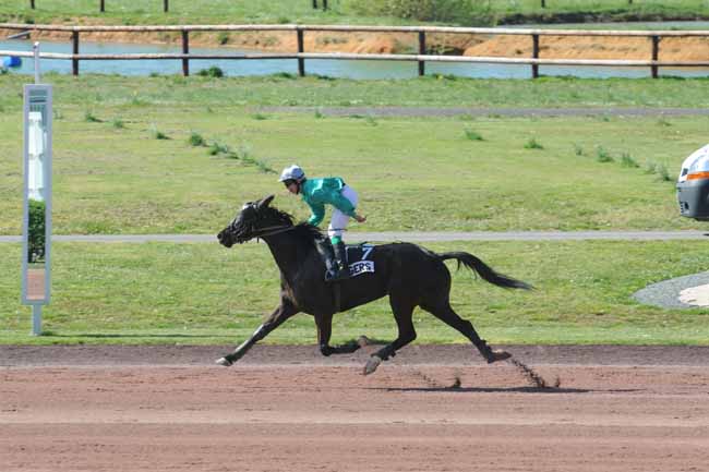 Arrivée quinté pmu PRIX JCM CONFORT (PRIX NERIC BARBES) à ANGERS